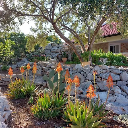 Σπίτι διακοπών Punta Sunca