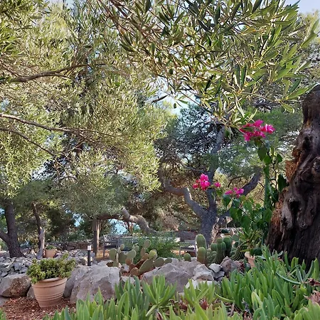 Punta Sunca Σπίτι διακοπών Stari Grad (Hvar)