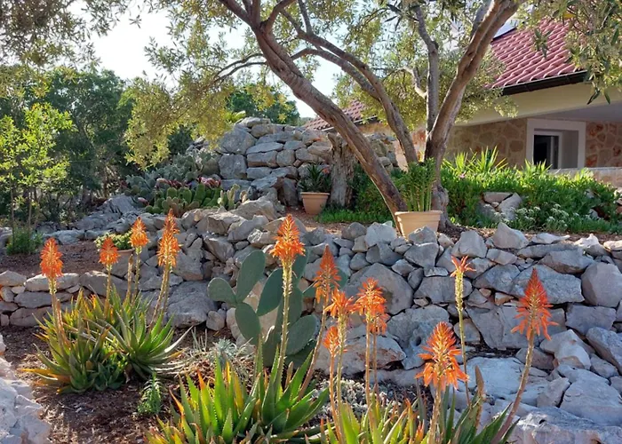 Semesterbostad Punta Sunca