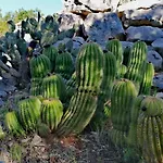 Punta Sunca بيت للعطل
