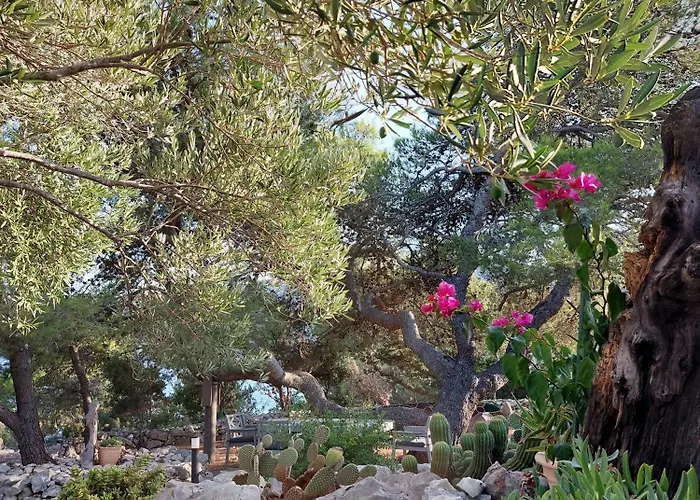 Punta Sunca Casa de Férias Stari Grad (Hvar)
